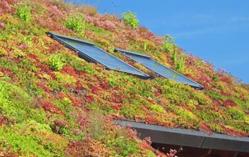 Bodsham living roof systems